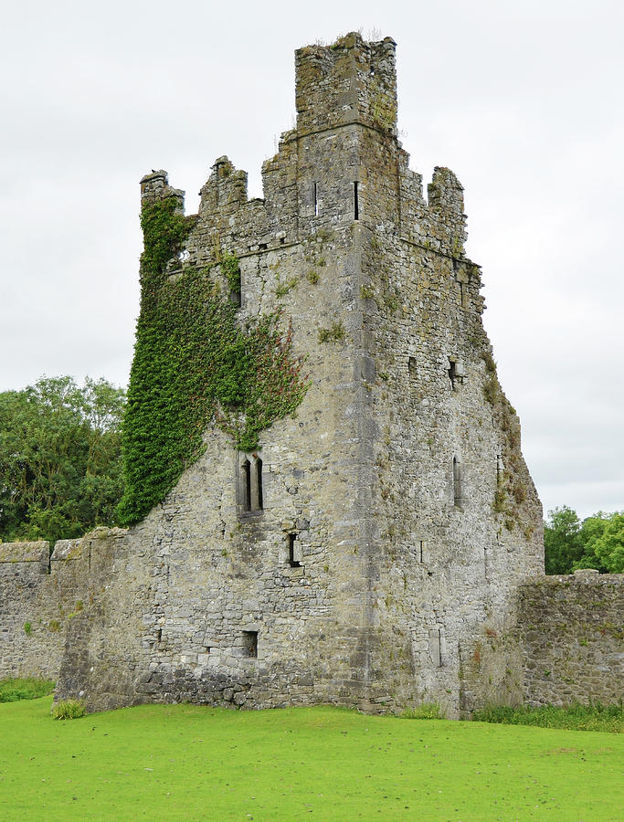 Kells Irish Priory Ivy Covered Medieval Castle Tower House County Kilkenny Ireland Photograph by Shawn OBrien