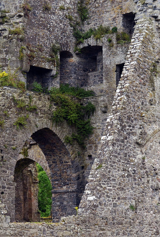 Kells Priory Ireland Interior Medieval Abbey Ruins County Kilkenny Photograph by Shawn OBrien
