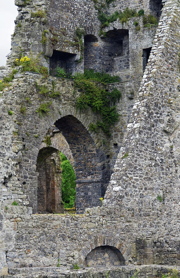Kells Priory Ireland Tower House Interior Ruins County Kilkenny Photograph by Shawn OBrien