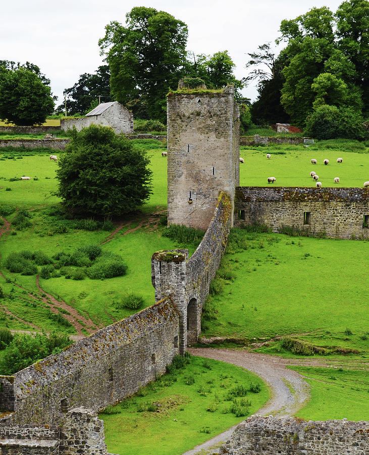 Kells Priory Outer Wall Gatehouse and Fortified Tower County Kilkenny Ireland Photograph by Shawn OBrien