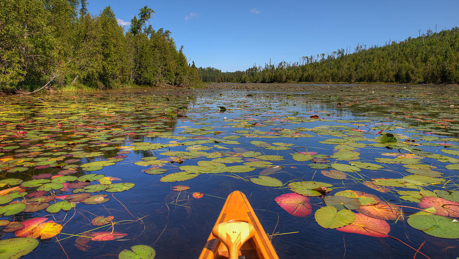 Kelly Lake Photograph - Kelly Lake by Shane Mossman Kelly Lake Photograph - Kelly Lake by Shane Mossman