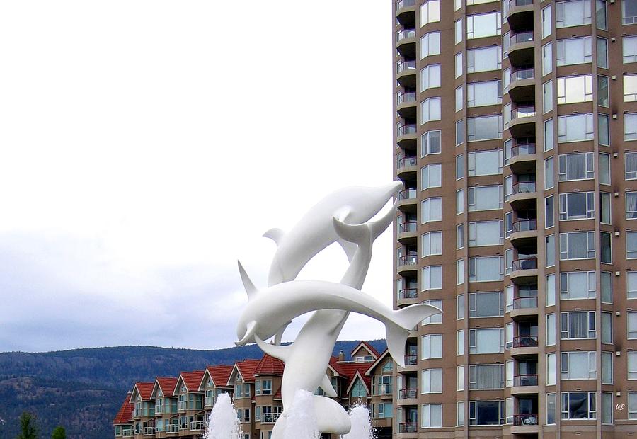 Kelowna Dolphins Photograph by Will Borden