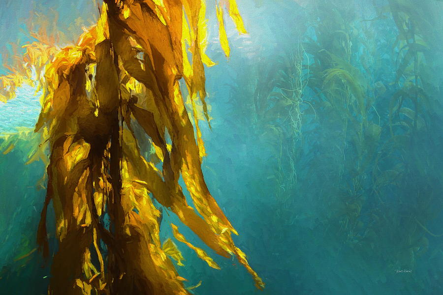 Kelp Forest Painting by Russ Harris
