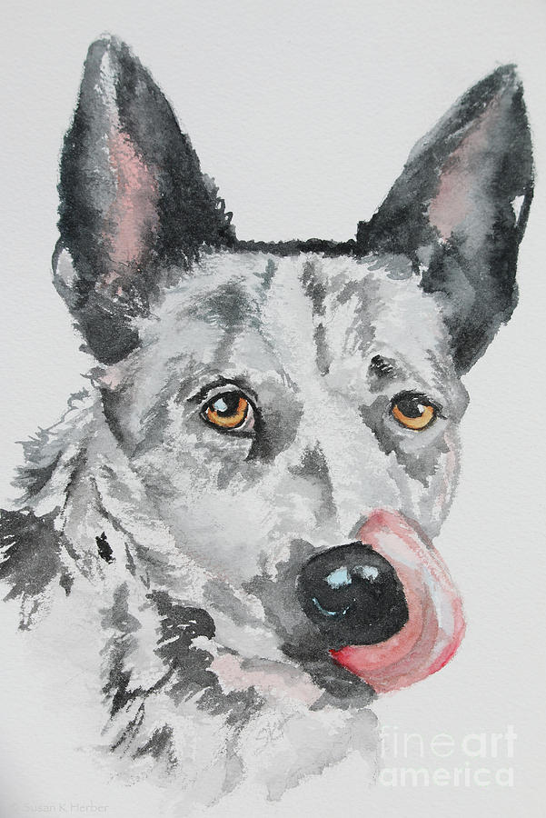 Kelpie Tongue Painting by Susan Herber