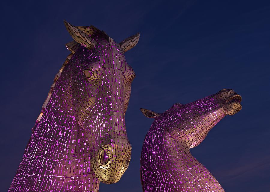 Kelpies Photograph by Stephen Taylor
