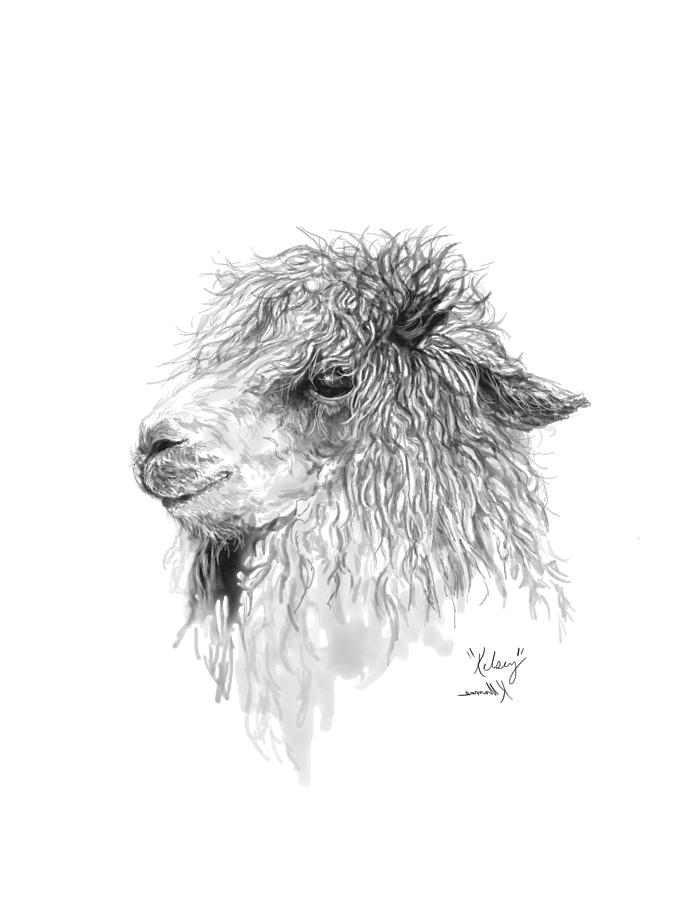 Llama Drawing - Kelsey by Kristin Llamas