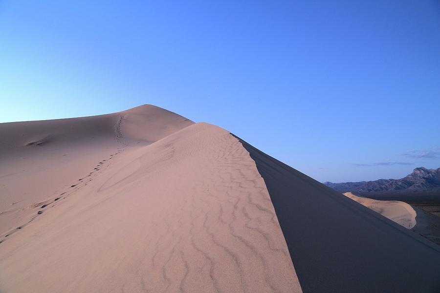 Kelso Dunes at Blue Hour Photograph by M C Hood