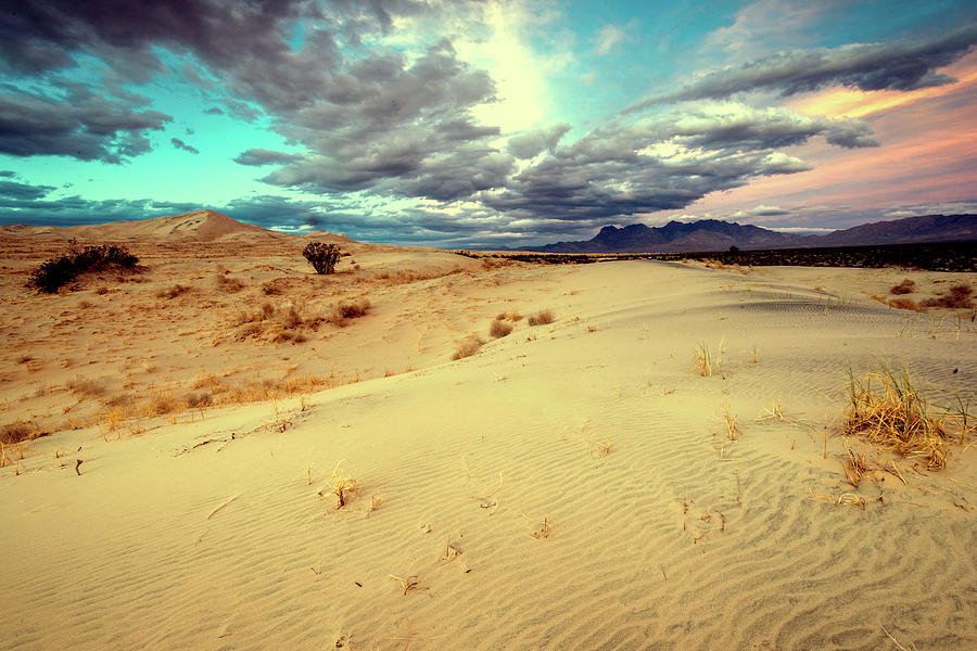 Kelso Dunes at Dusk Photograph by Eric Albright