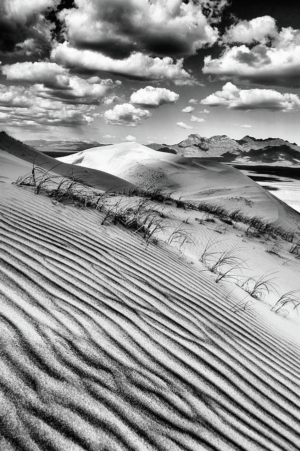 Kelso Dunes Desert Portrait Black and White Photograph by Kyle Hanson