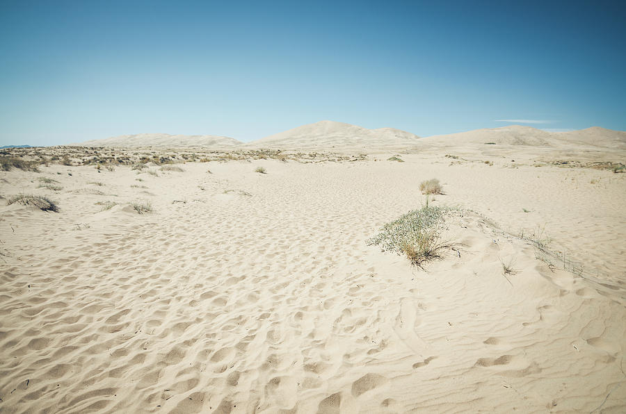 Kelso Dunes No.2 Photograph by Margaret Pitcher