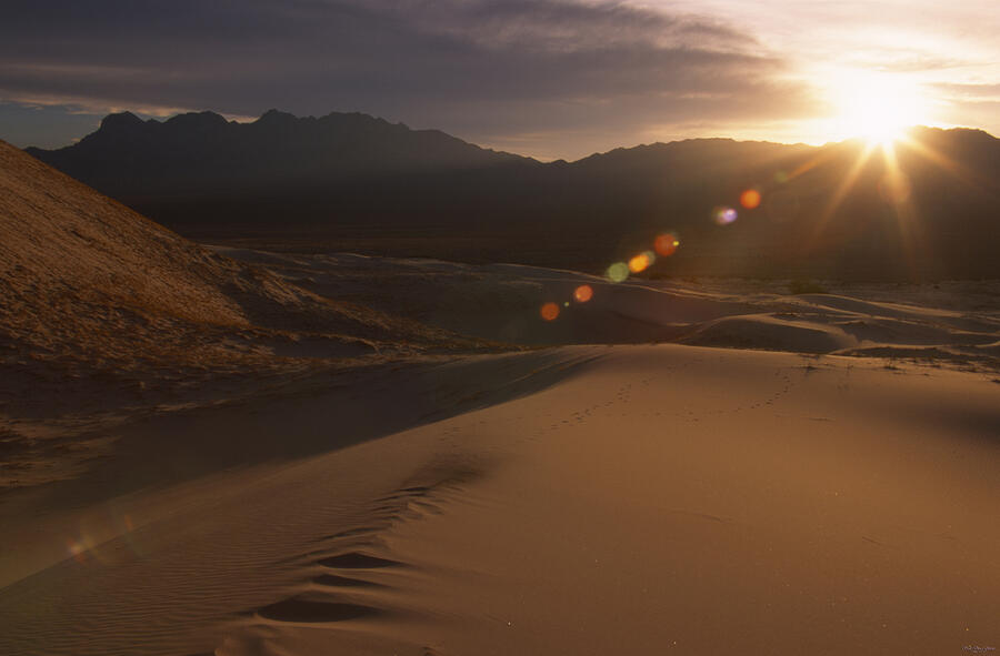 Landscape Photograph - Kelso Dunes - Providence Mountains by Soli Deo Gloria Wilderness And Wildlife Photography
