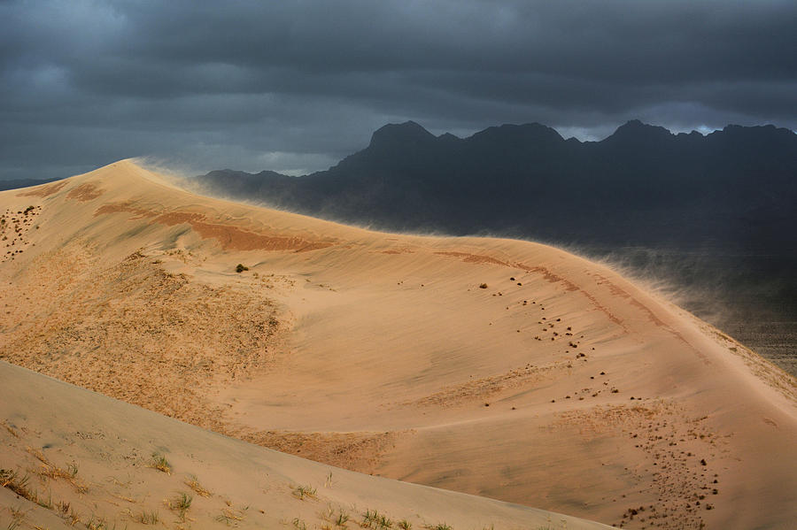 Kelso Dunes Shifting Sands Photograph by Kyle Hanson