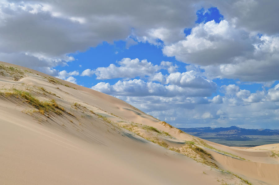 Kelso Sand Dune Field Photograph by Kyle Hanson