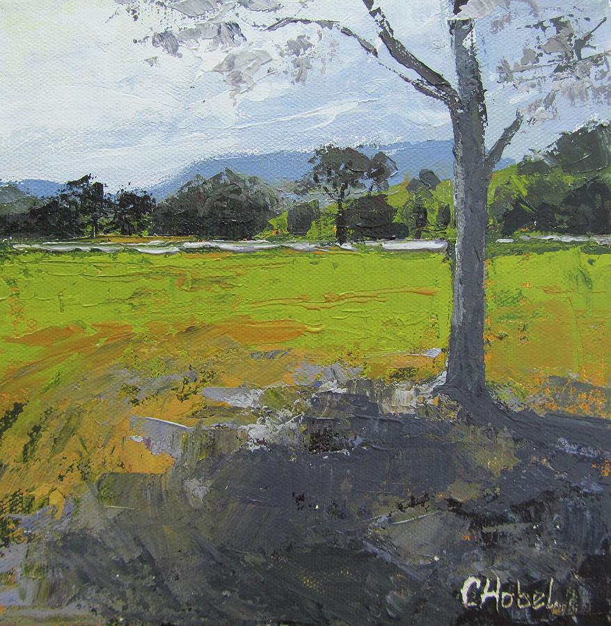 Kenilworth Landscape Queensland Australia Painting by Chris Hobel