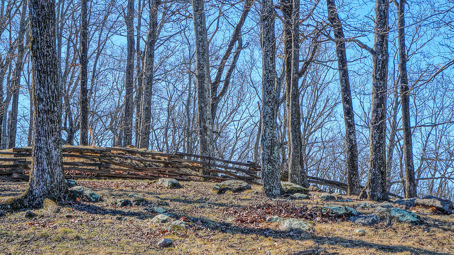 Nature Photograph - Kennesaw Mountain No.1 by Keegan Hall