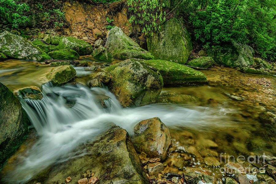 Kens Creek in Cranberry Wilderness Photograph by Thomas R Fletcher