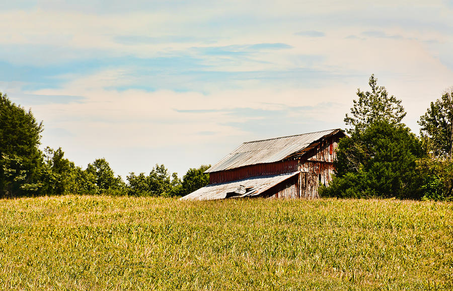 Kentucky Cornfield Barn Photograph by Greg Jackson