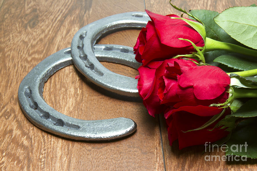 Kentucky Derby Red Roses with Horseshoes on Wood Photograph by Karen Foley