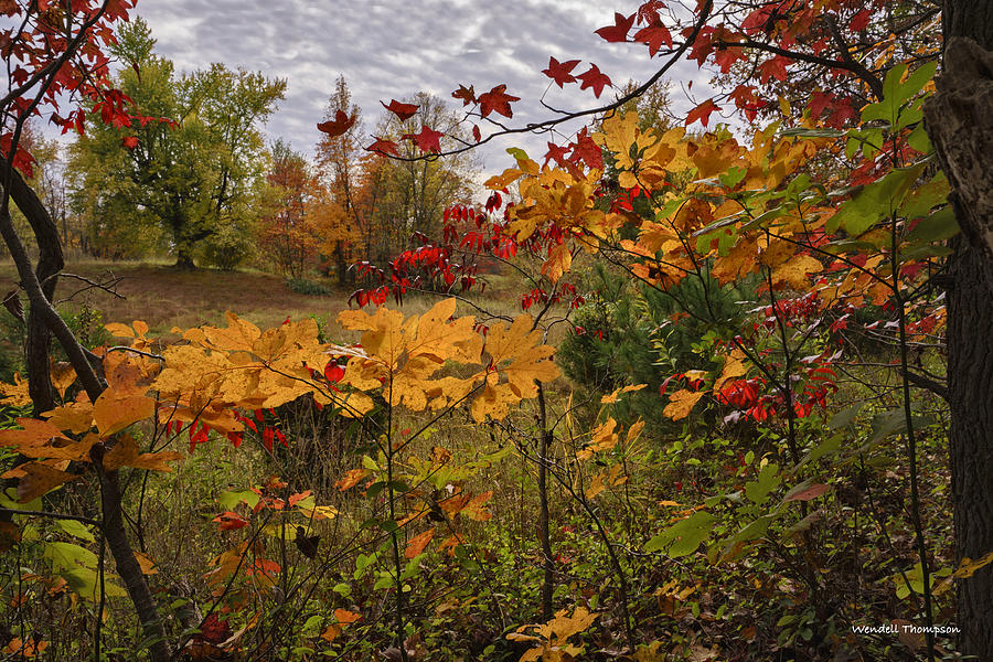 Kentucky Fall Colors Photograph by Wendell Thompson