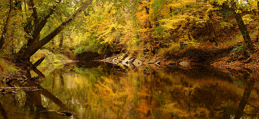 Fall Photograph - Kentucky Fall by Keith Bridgman