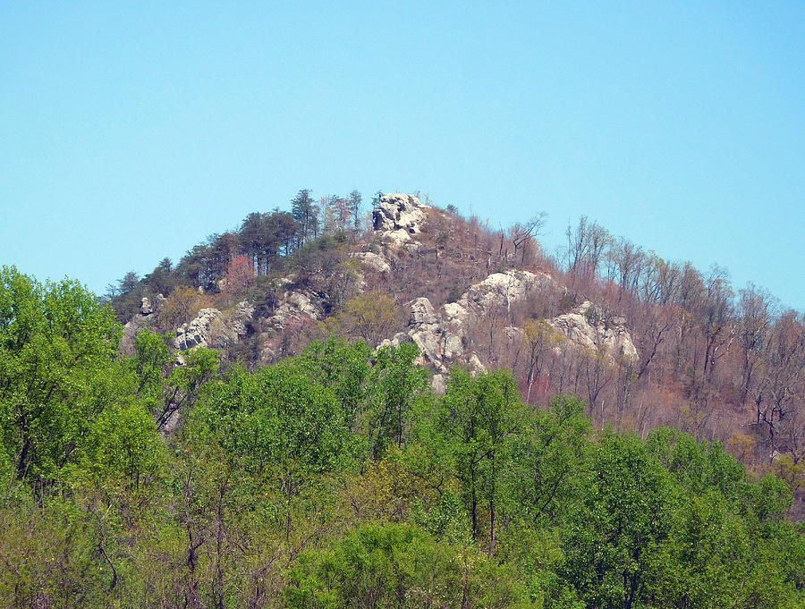 Nature Photograph - Kentucky Hillside by Barb Montanye Meseroll Nature Photograph - Kentucky Hillside by Barb Montanye Meseroll