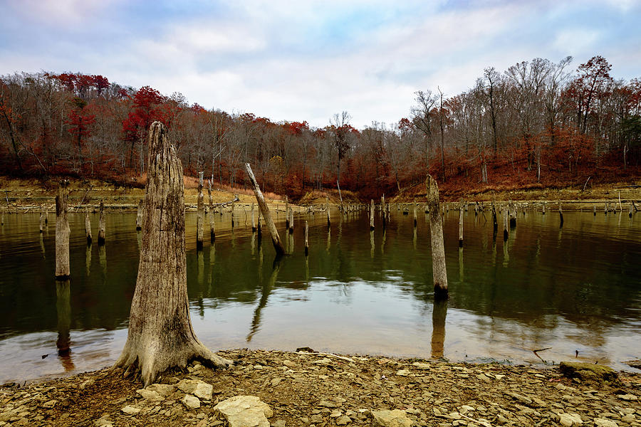 Kentucky Hollow Photograph by Michael Scott