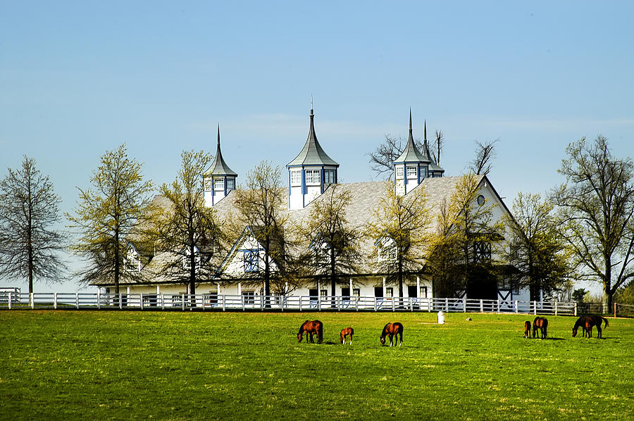  Revised Kentucky Horse Barn Hotel 2 Photograph by Randall Branham