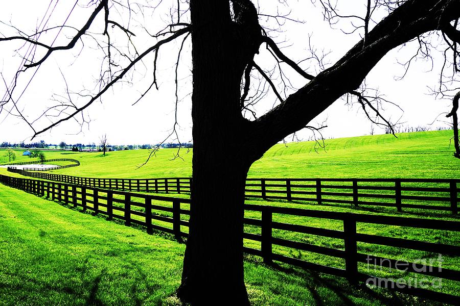 Kentucky Horse Country Photograph by Merle Grenz