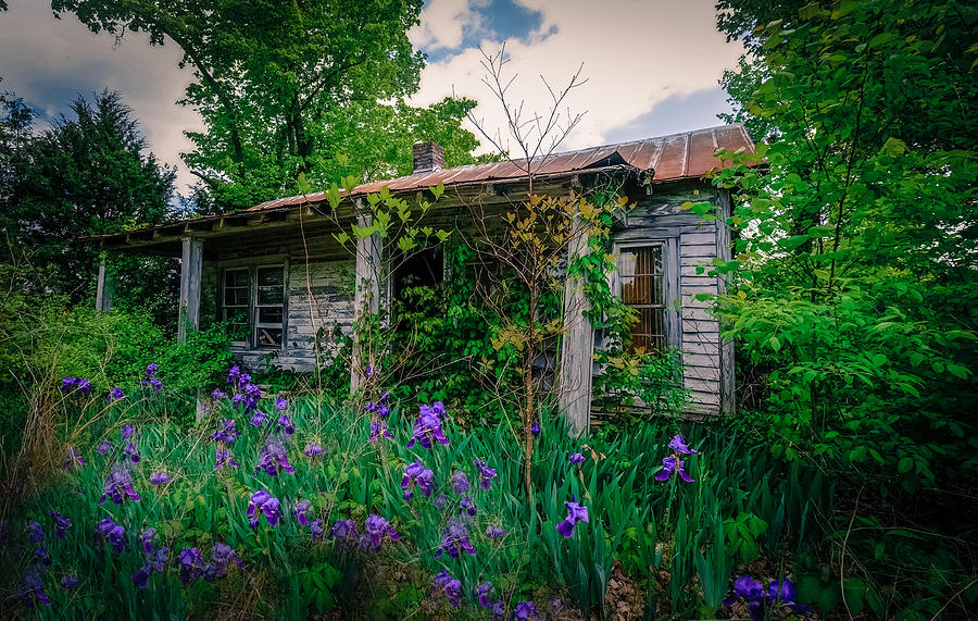 Kentucky House with Irises Photograph by Bob Bell