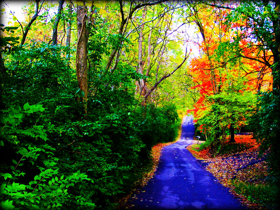 Fall Photograph - Kentucky Lane by Susie Weaver