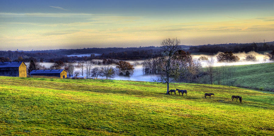 Kentucky Morning Mist 2 Photograph by Sam Davis Johnson