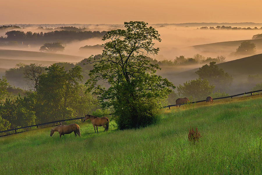 Kentucky morning sunshine. Photograph by Ulrich Burkhalter
