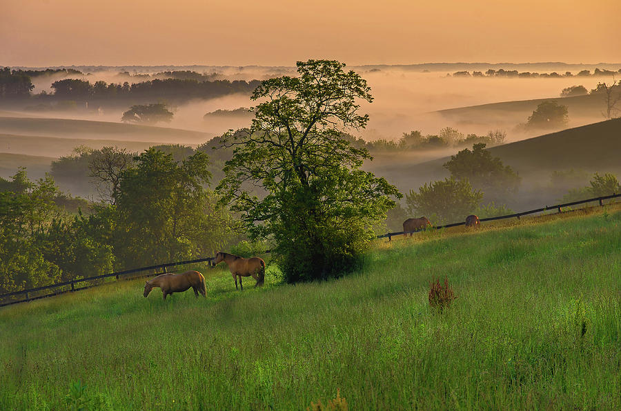 Kentucky morning Photograph by Ulrich Burkhalter