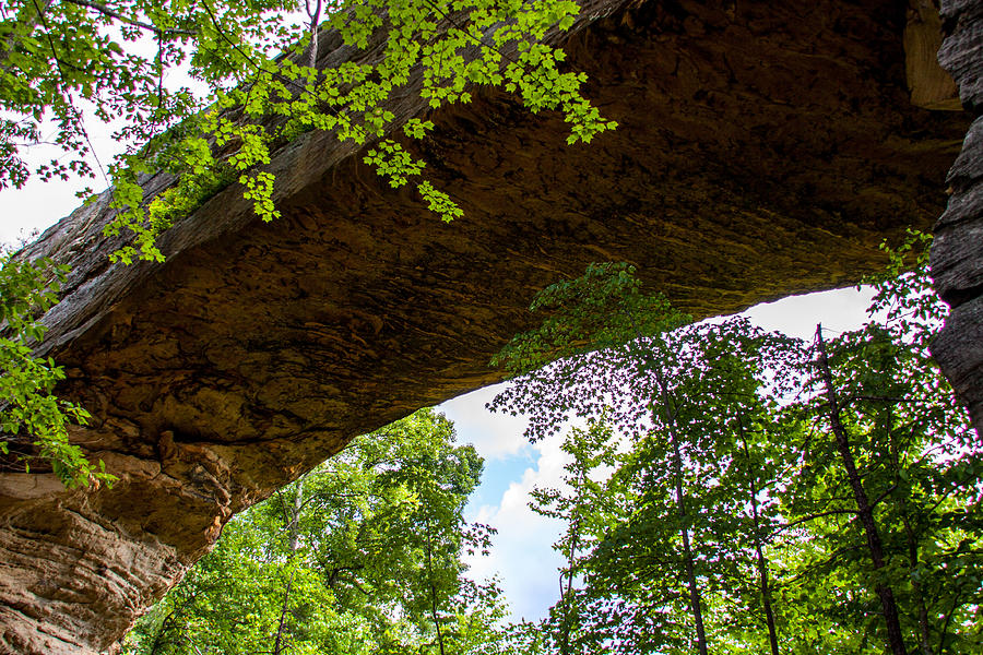 Kentucky Natural Bridge Photograph by Terry Baldridge