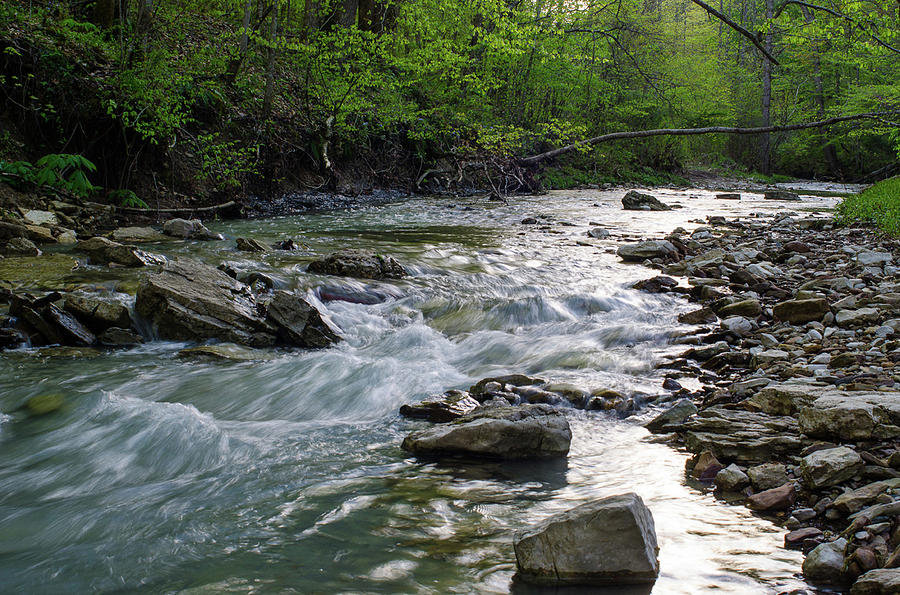 Kentucky Spring Photograph by Dean Muse - Fine Art America