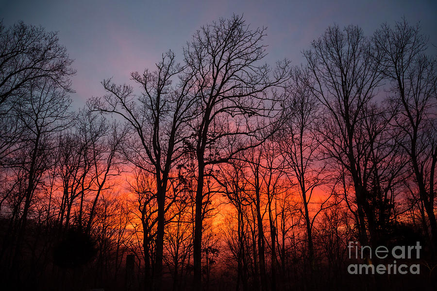 Kentucky Sunrise Photograph by Jim West