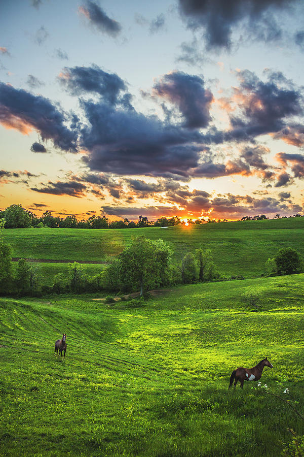 Kentucky Sunset Photograph by Michael Wallace - Fine Art America