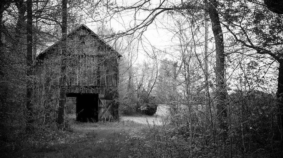Kentucky Tobacco Barn Photograph by Bob Bell