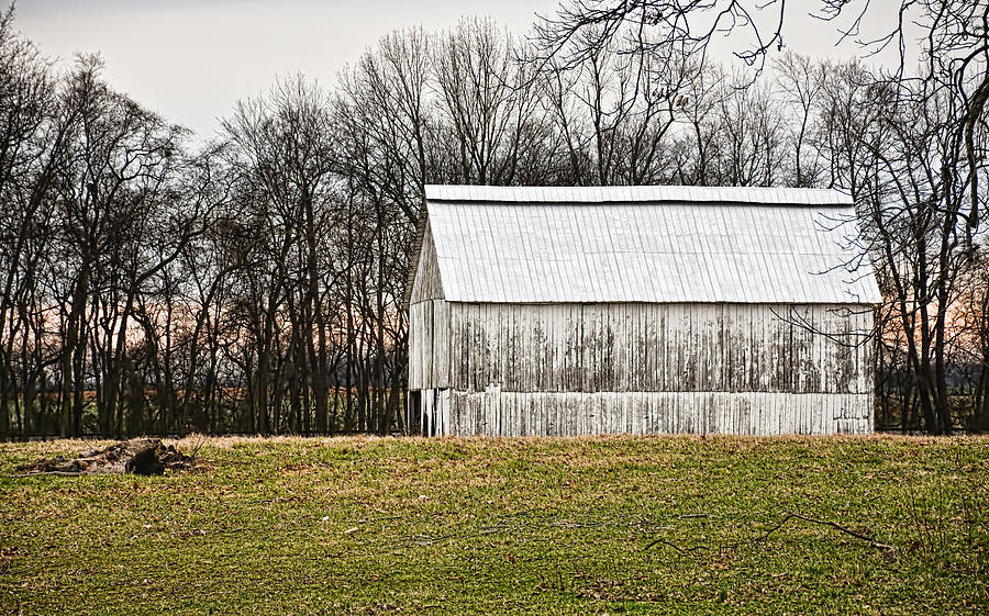 Kentucky Tobacco Barn in White Photograph by Greg Jackson