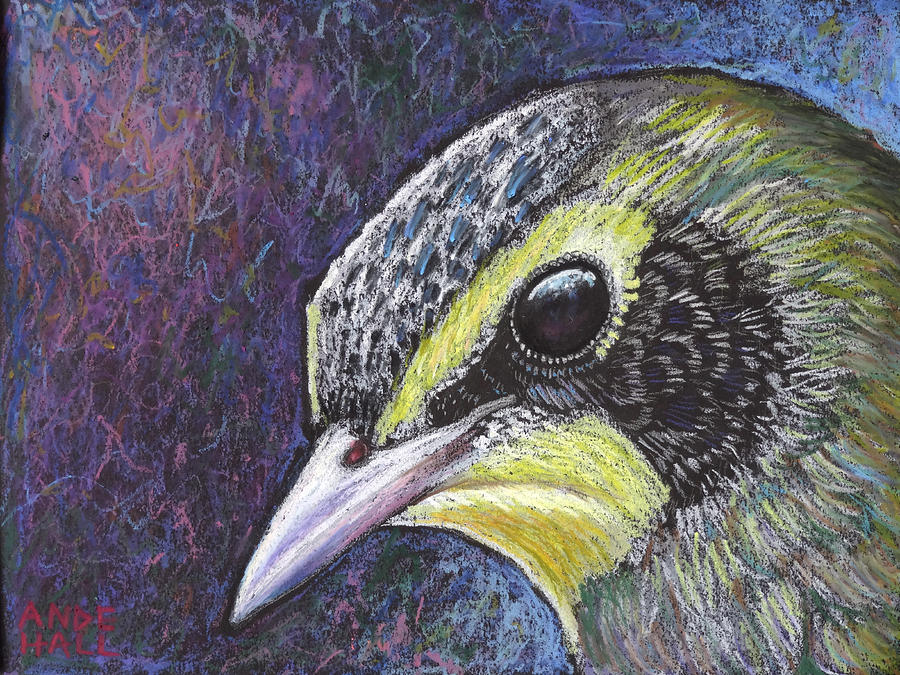 Warbler Painting - Kentucky Warbler Portrait by Ande Hall