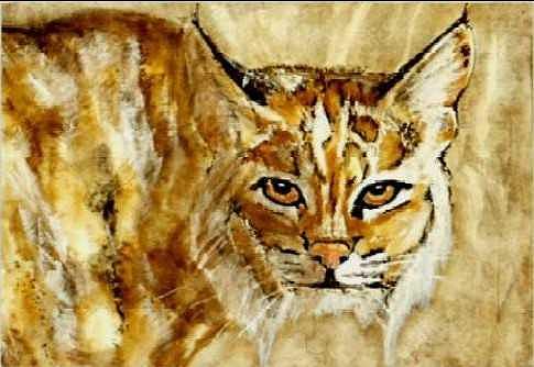 Wildcat Painting - Kentucky WIldcat by Travis Kelley Wildcat Painting - Kentucky WIldcat by Travis Kelley