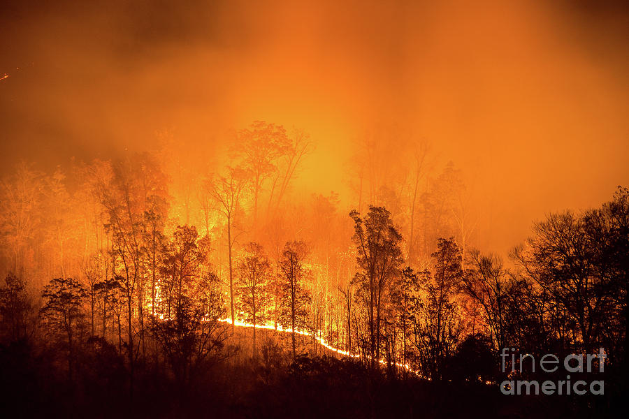 Kentucky Wildfire Photograph