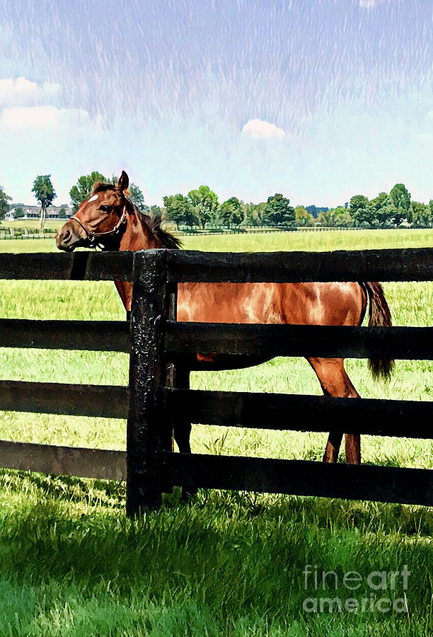 Kentucky Yearling Digital Art by CAC Graphics