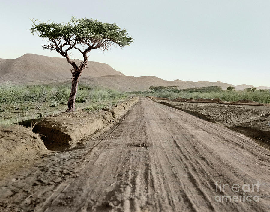 Kenya Highway, 1936 Photograph by Granger