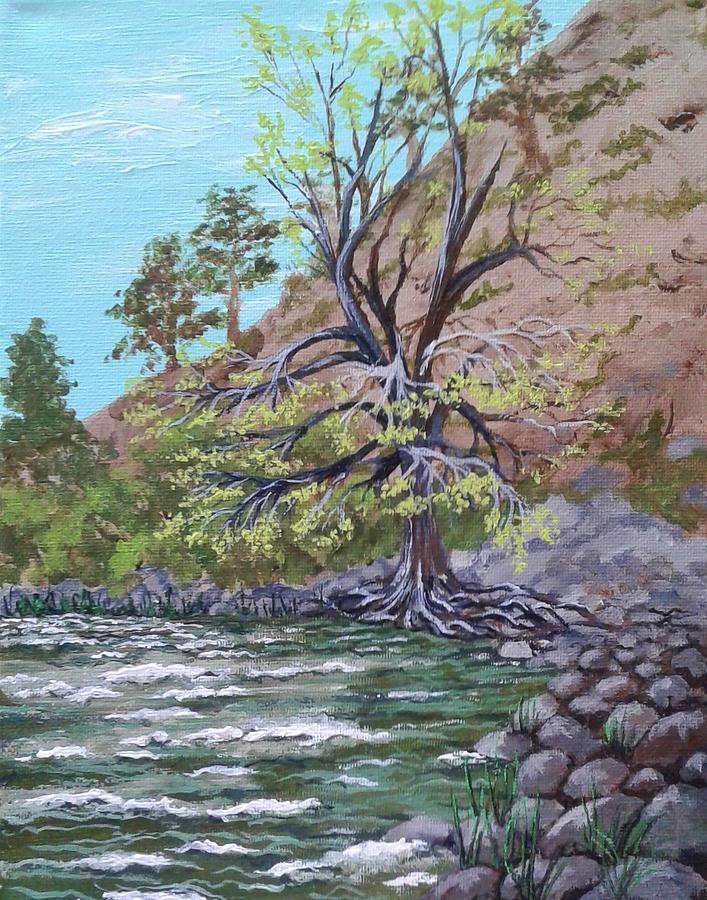 Kern River Kernville California Painting by Katherine Young-Beck