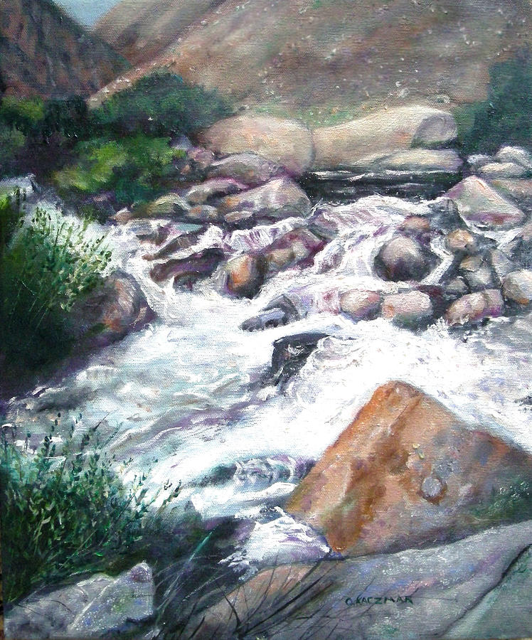 Kern River Painting by Olga Kaczmar
