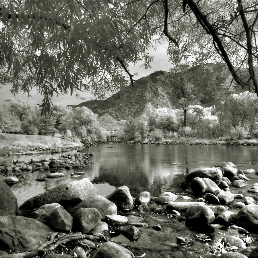 Black And White Photograph - Kern River Park by Roland Peachie