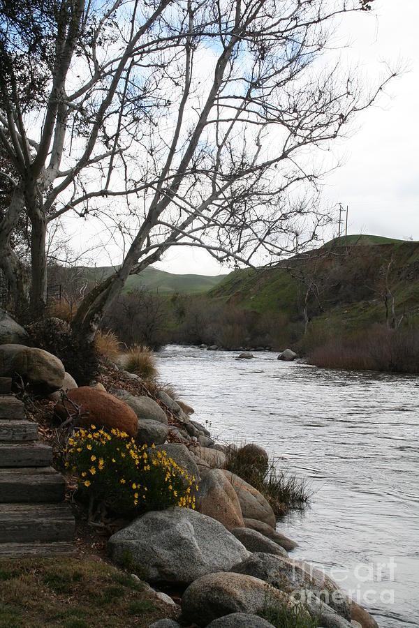 River Photograph - Kern River Winter by Ellen Young 