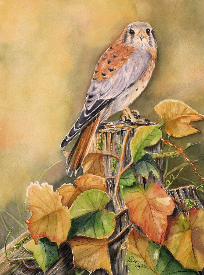 Kestrel in Fall Painting by Patricia Pushaw