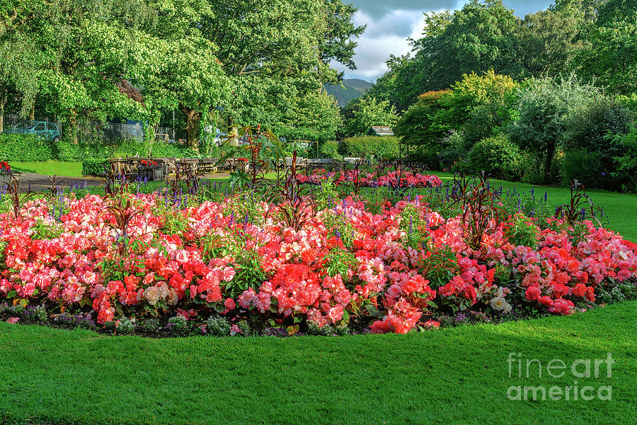 Keswick Garden #2 Photograph by Elvis Vaughn